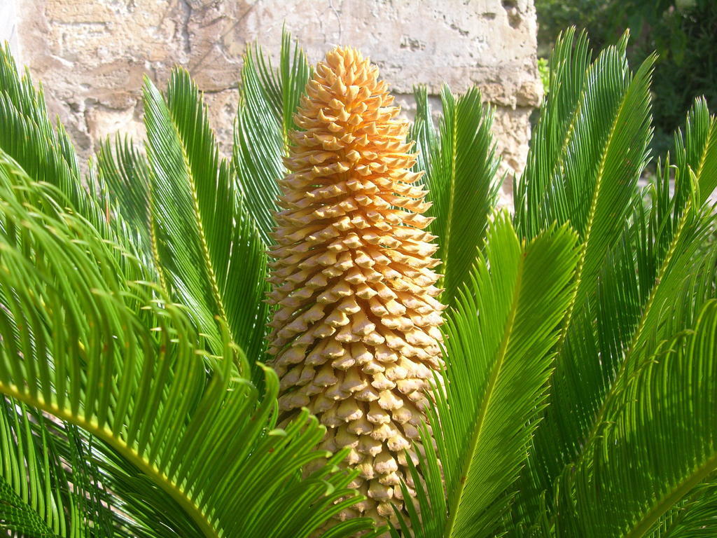 Finca Son Josep De Baix Calas de Mallorca Zewnętrze zdjęcie